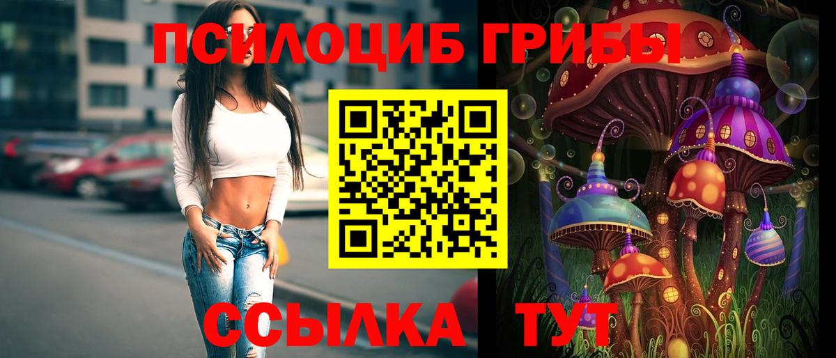 Владимир  Галлюциногенные грибы прущие грибы  Вход с VPN 