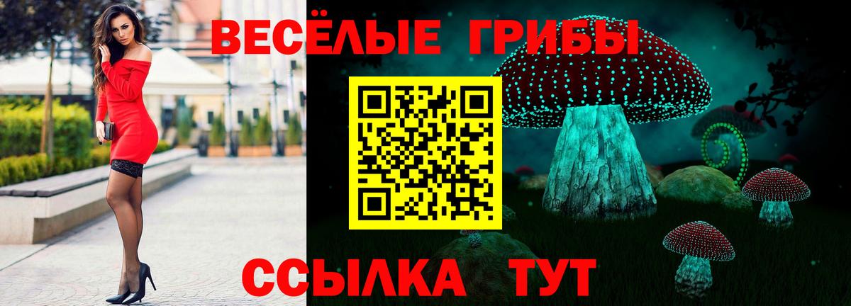 Псилоцибиновые грибы GOLDEN TEACHER Владимир